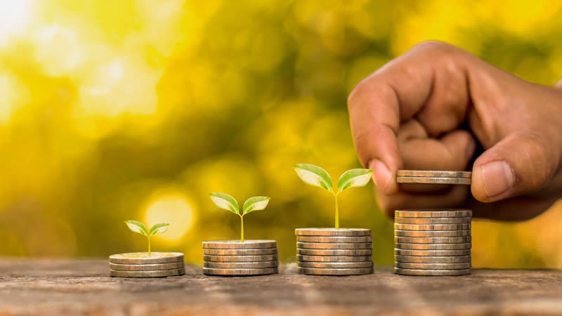 stacks of coins with small plant growing on top of each